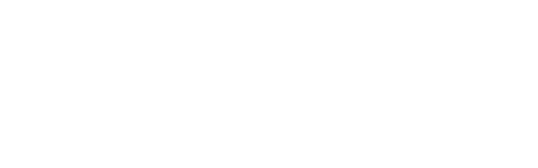 Die Rückkehr des Richard 3 mit dem Zug um 09:24 Uhr. (Le retour de Richard 3 avec le train de 9h24) – von Gilles Dyrek | Deutsch von lydia dimitrow